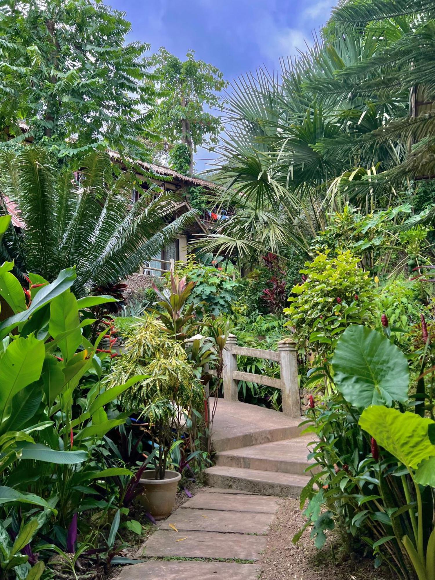 אל נידו Novie'S Tourist Inn מראה חיצוני תמונה