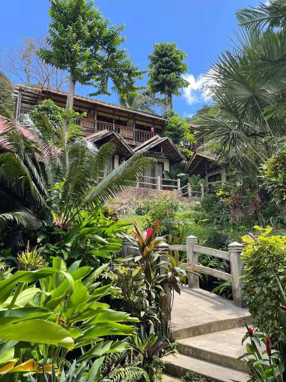 אל נידו Novie'S Tourist Inn מראה חיצוני תמונה
